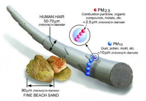 【轉載】 查了多篇科學文獻，給你一份PM2.5知識圖譜